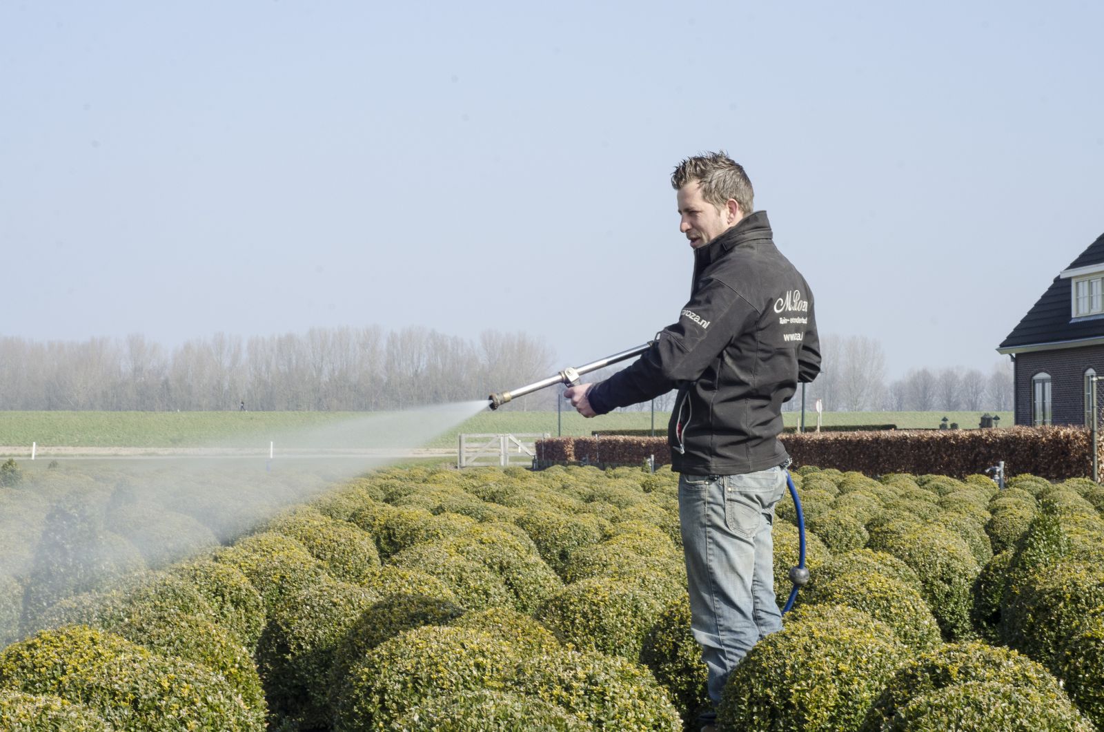 bestrijden van de buxusrups